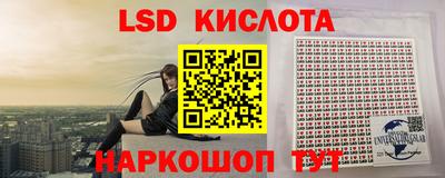 мяу мяу мука Будённовск