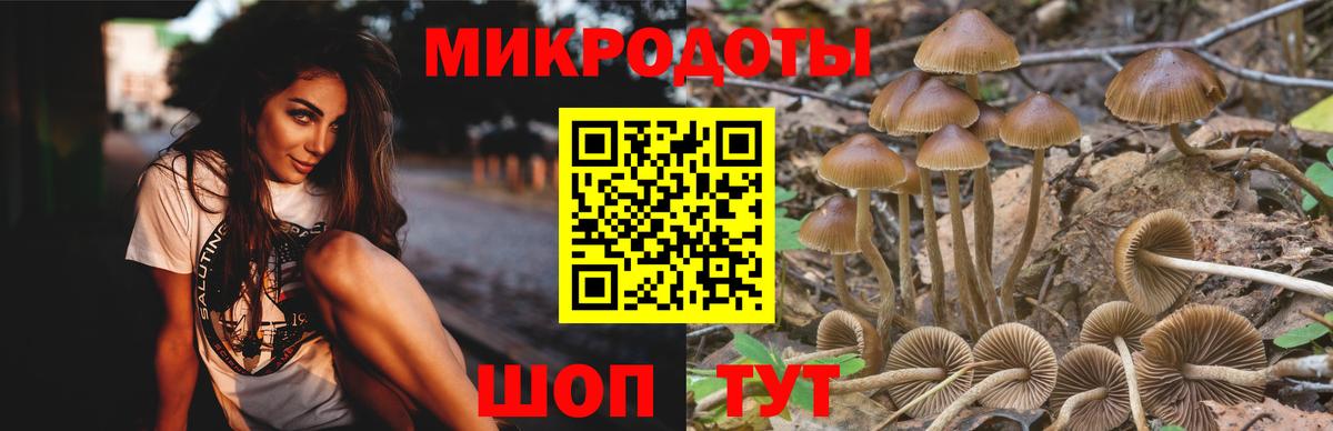 Псилоцибиновые грибы GOLDEN TEACHER  Вход с VPN  Тара 